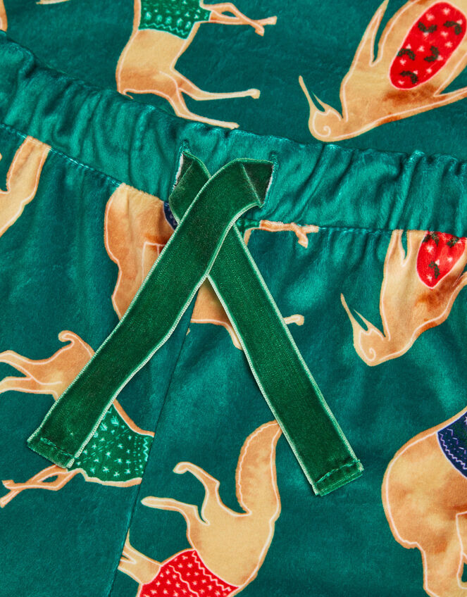 Velour Festive Animal Print Long Pyjamas Set, Green (GREEN), large