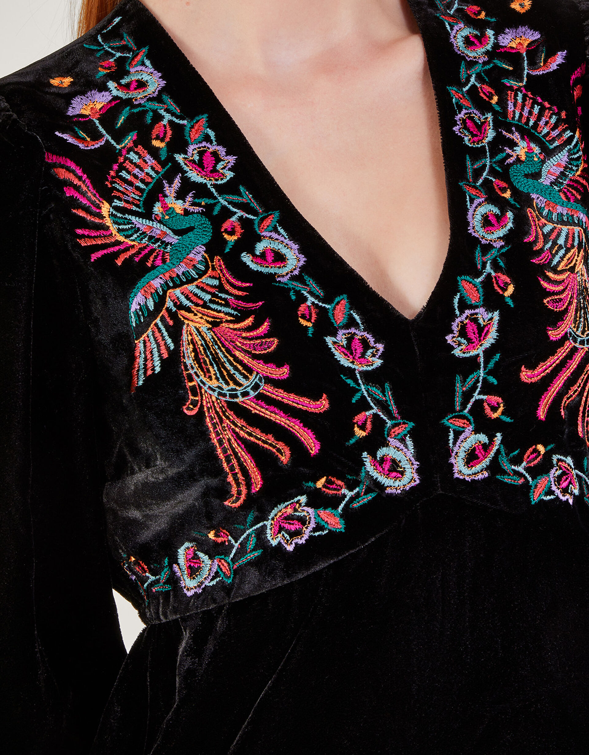 Embroidered Velvet Dress main image 1