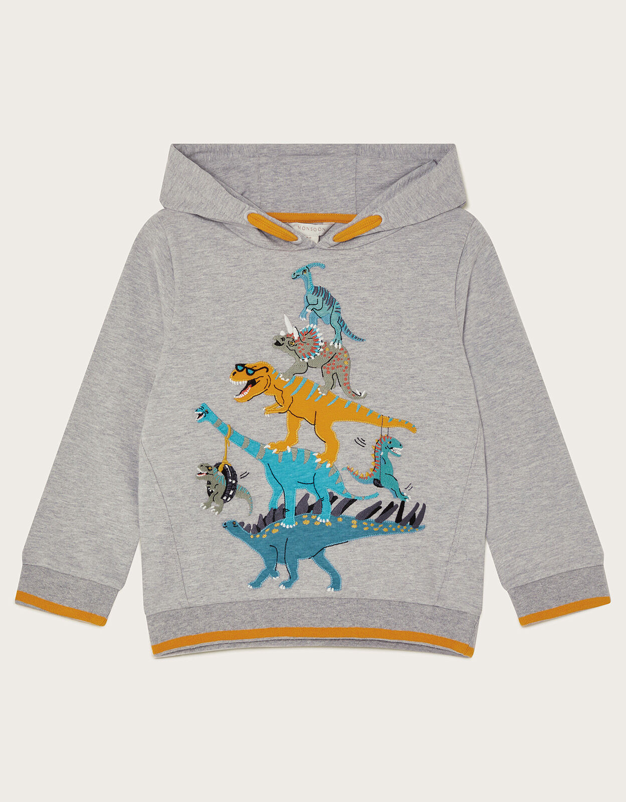 Boys dinosaur top sweatshirt