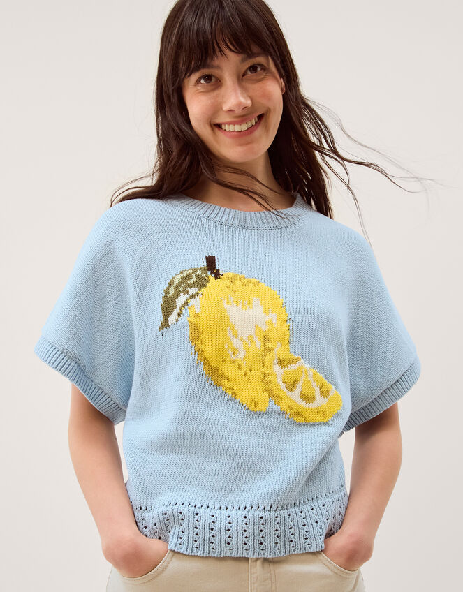 Lizzie Lemon Short Sleeve Jumper Blue