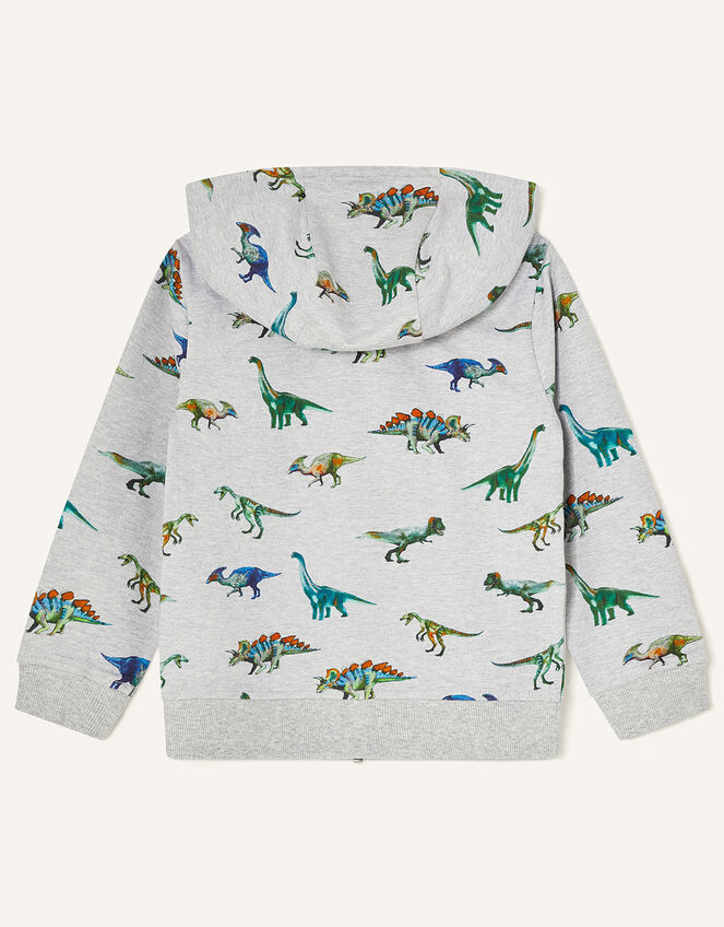 Dinosaur Print Hoody, Grey (GREY), large