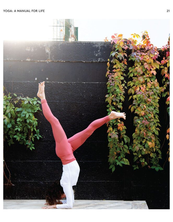 Bookspeed Naomi Annand: Yoga A Manual For Life, , large