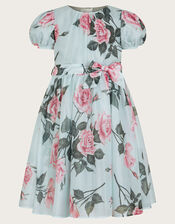 Rosaline Flower Print Organza Dress, Green (SAGE), large