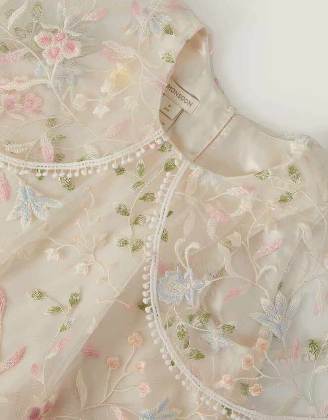 Embroidered Floral Cape Sleeve Dress, Multi (MULTI), large