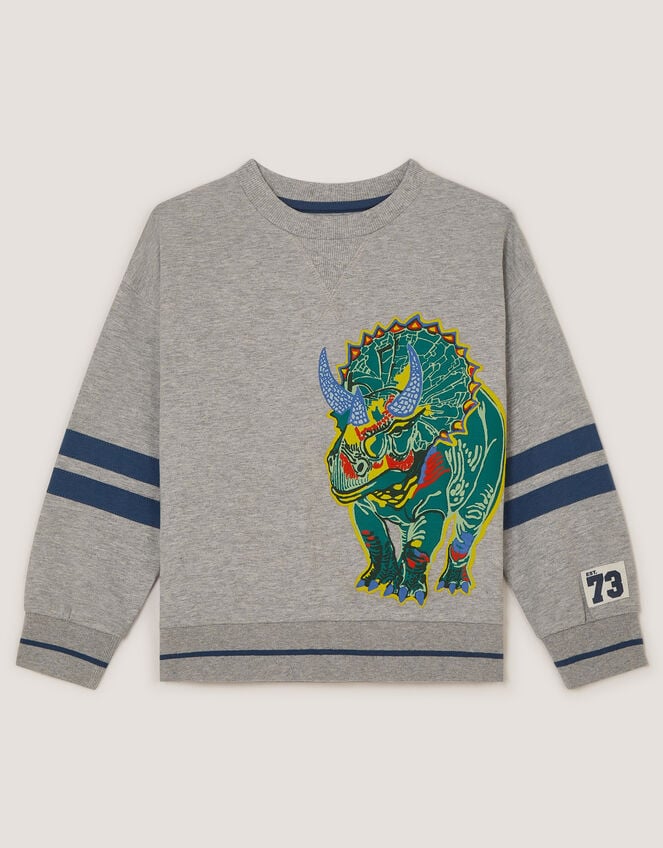 Triceratops Graphic Sweatshirt, Grey (GREY), large