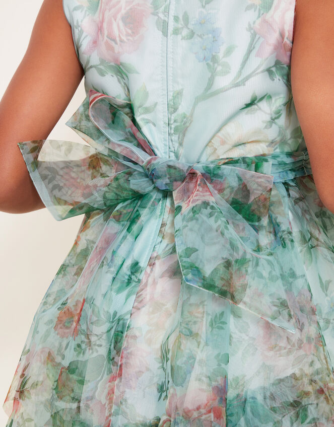 Sleeveless Rose Print Organza Dress, Green (GREEN), large
