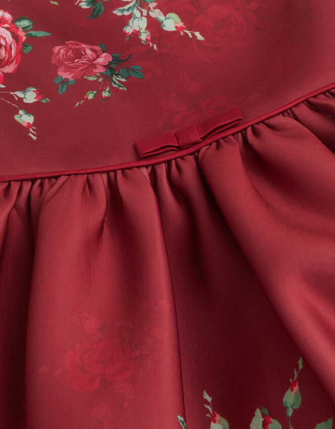 Baby Rose Print Party Dress, Red (RED), large