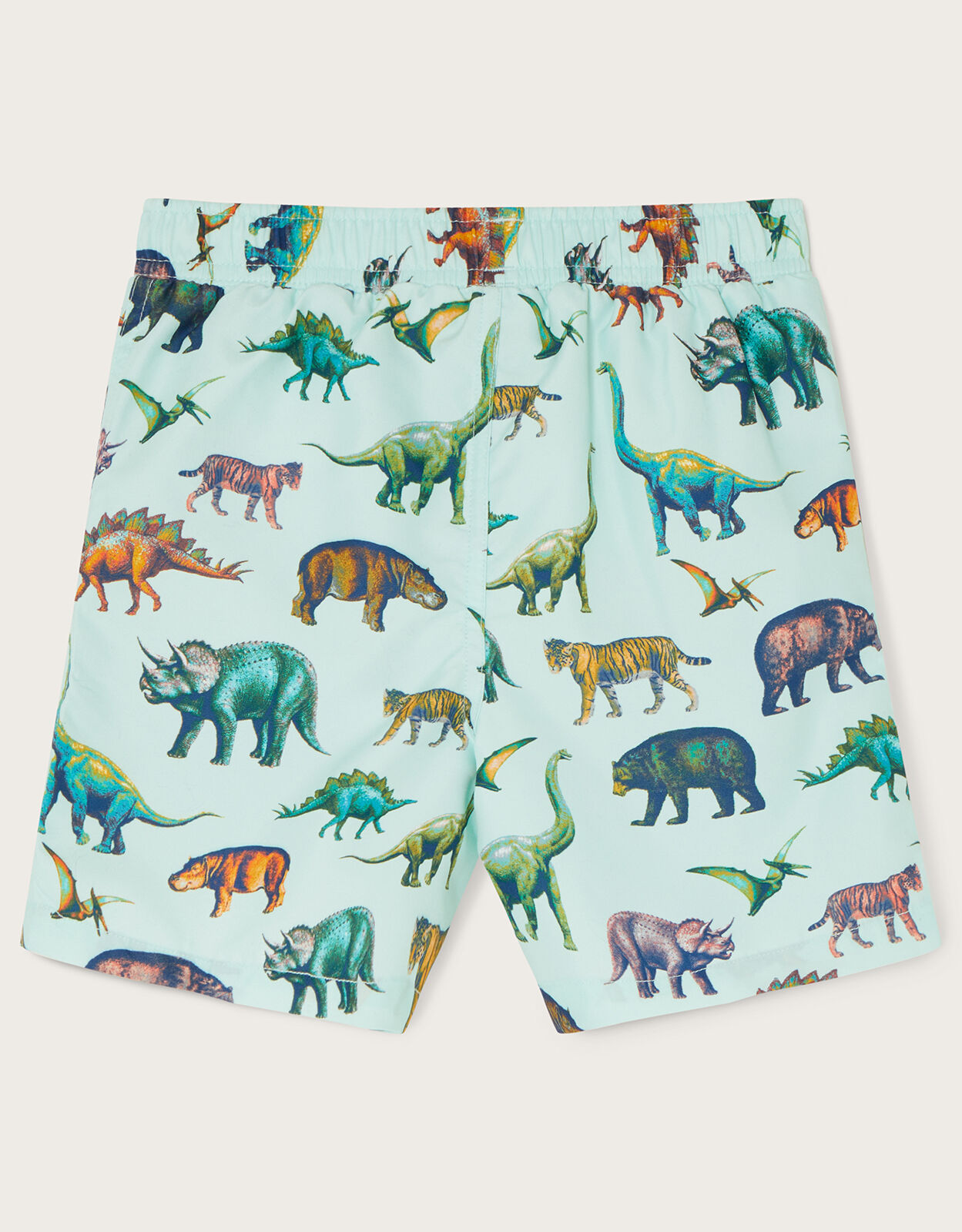 Dinosaur swimming top shorts