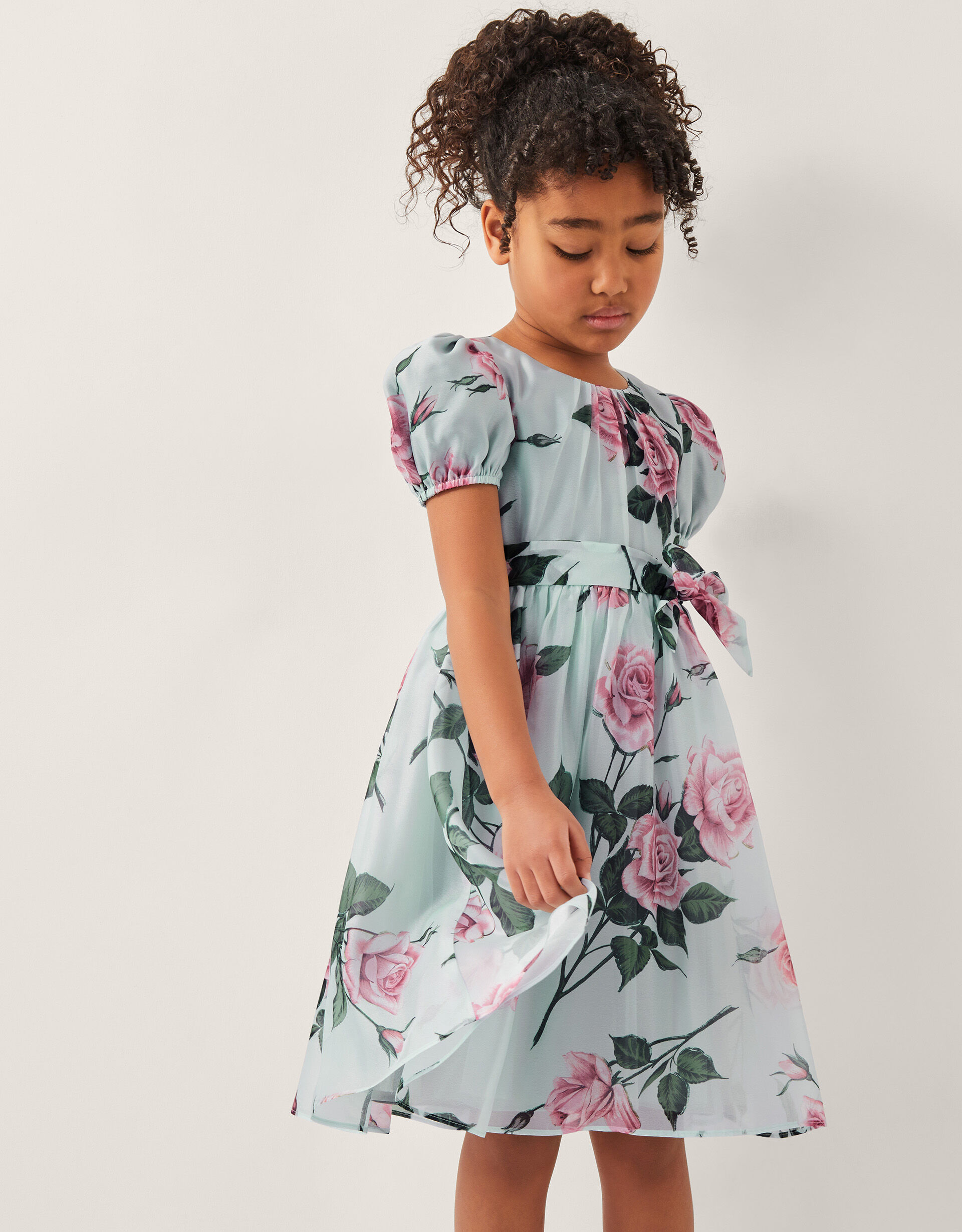 Rosaline Flower Print Organza Dress Green
