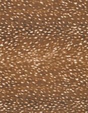 Bea Bambi Print Scarf, , large