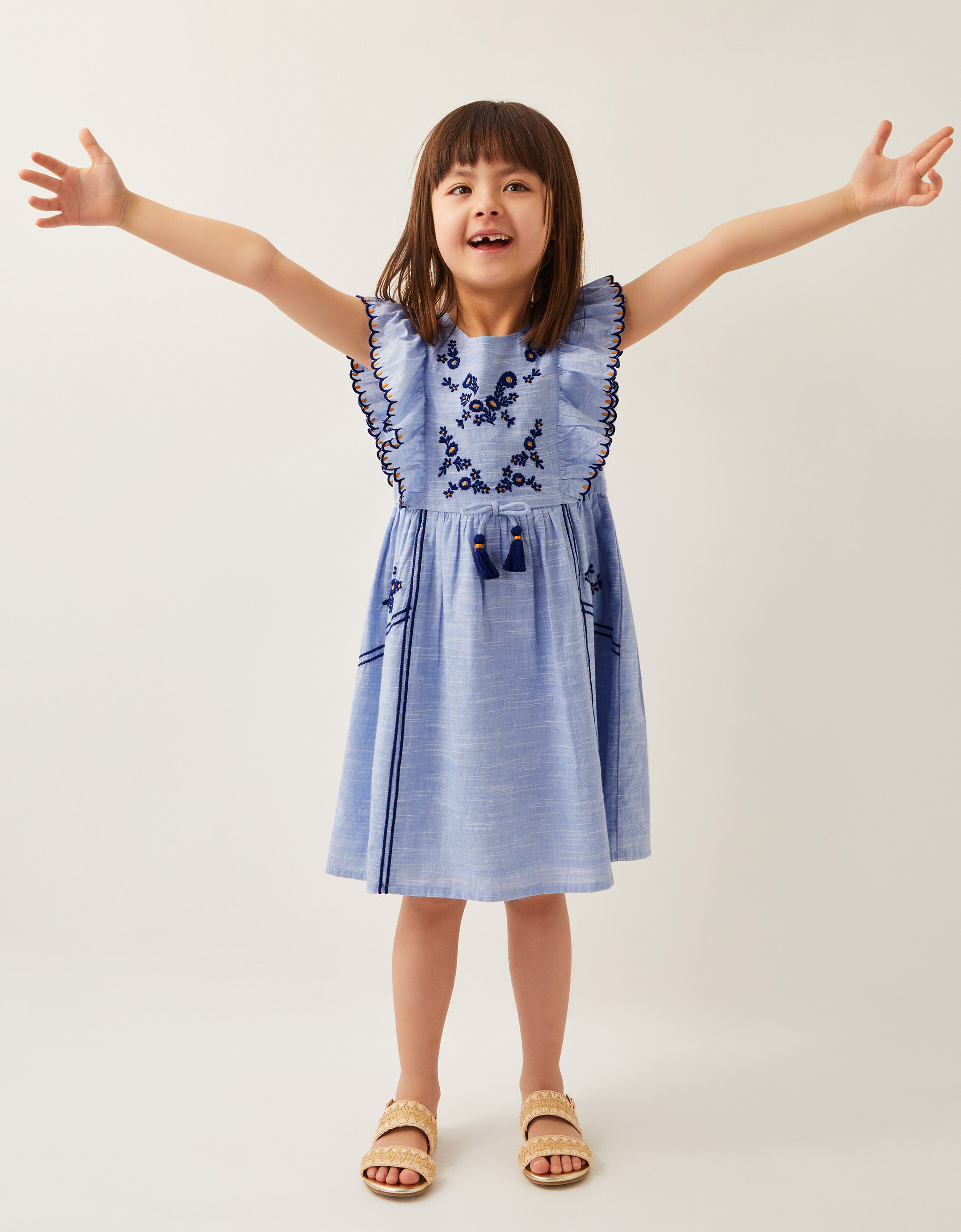 Floral Embroidered Frilly Dress Blue