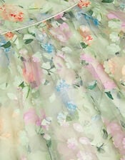 Eliza Floral Appliqu&eacute; Party Dress, Multi (MULTI), large