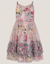 Rose Appliqu&eacute; Tulle Dress, Multi (MULTI), large