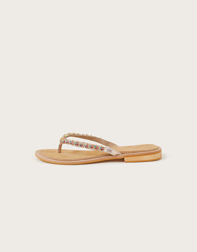 Diamante Suede Flip Flops Multi | Women's Shoes | Monsoon UK.