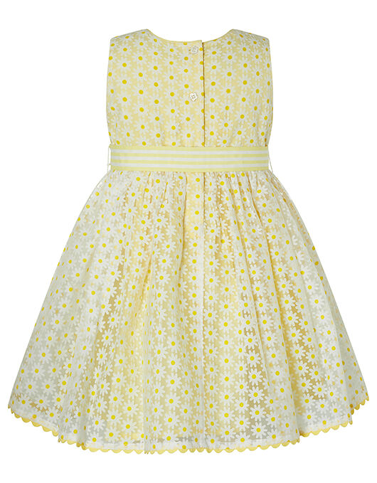 Monsoon daisy chain dress hot sale