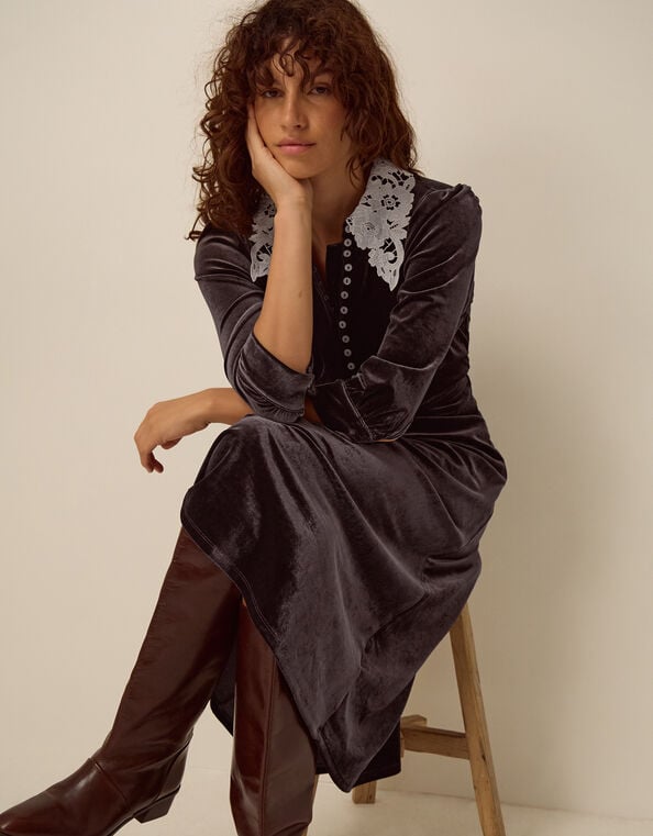 Leith Lace Collar Velvet Midi Dress, Brown (CHOCOLATE), large