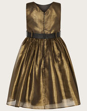 Land of Wonder Shimmer Organza Dress, Multi (MULTI), large