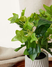 Mini Leaves In Cement Pot, , large