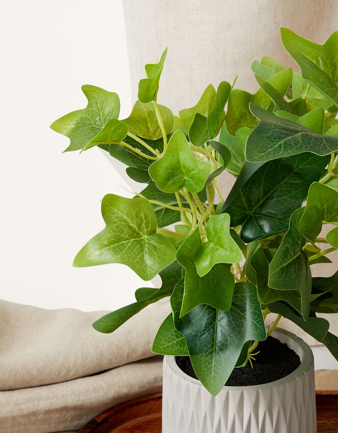 Mini Leaves In Cement Pot, , large