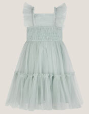 Baby Eva Floral Embroidered Tulle Dress, Green (PALE GREEN), large