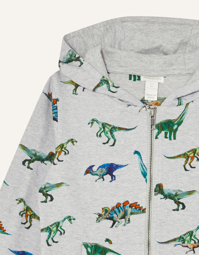 Dinosaur Print Hoody, Grey (GREY), large