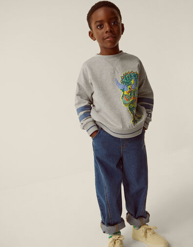 Triceratops Graphic Sweatshirt, Grey (GREY), large