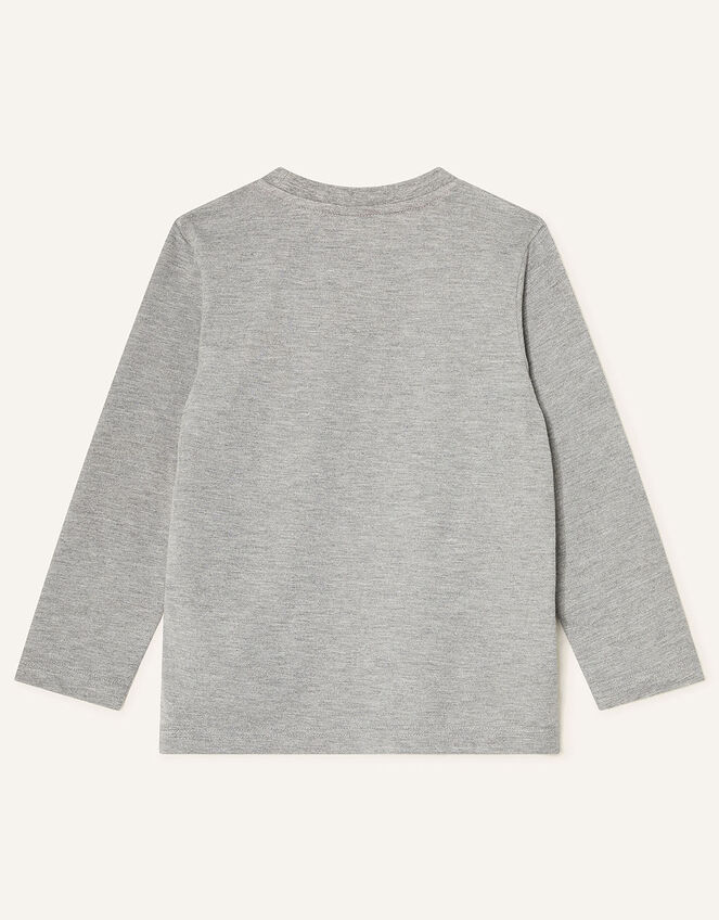 Dinosaur Long Sleeve T-Shirt, Grey (GREY), large