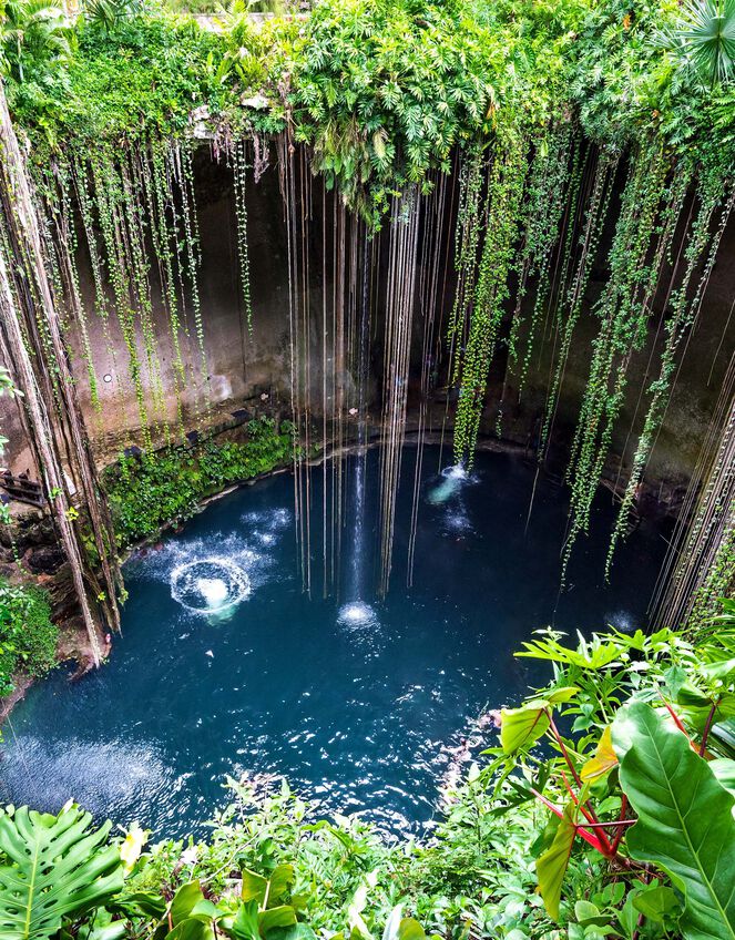 Bookspeed Nana Luckham: The Wellness Bucket List, , large