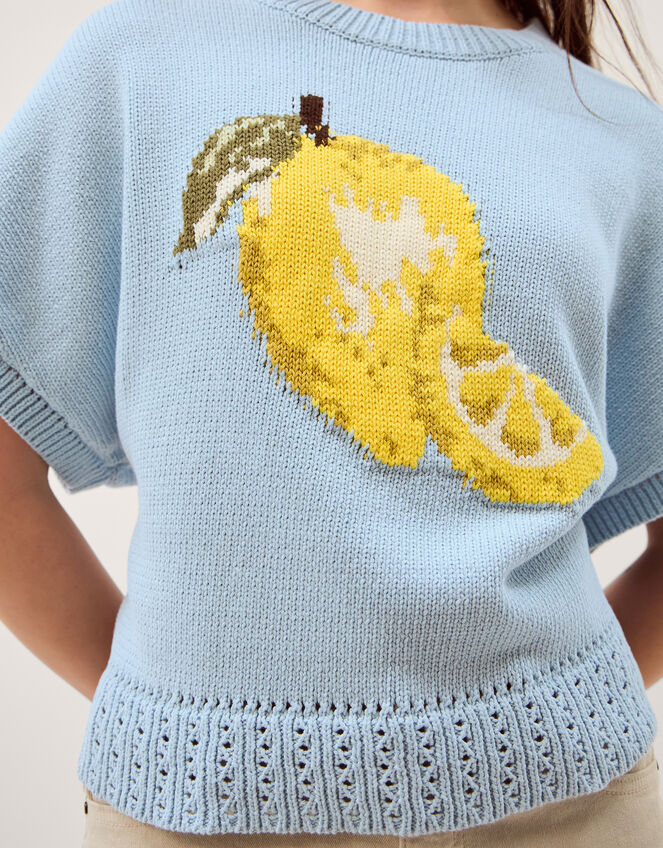 Lizzie Lemon Short Sleeve Jumper Blue