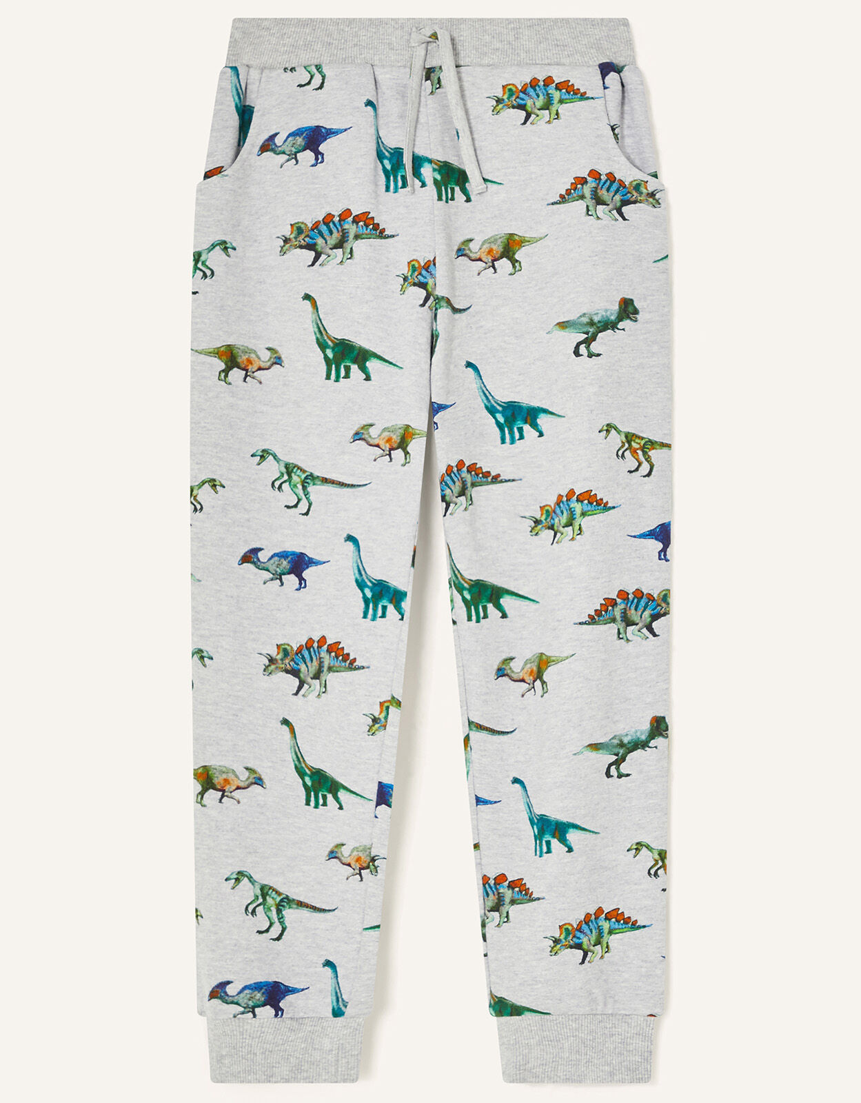 Boys dinosaur sales joggers