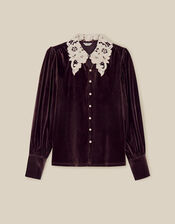 Leith Lace Collar Velvet Shirt, Brown (CHOCOLATE), large