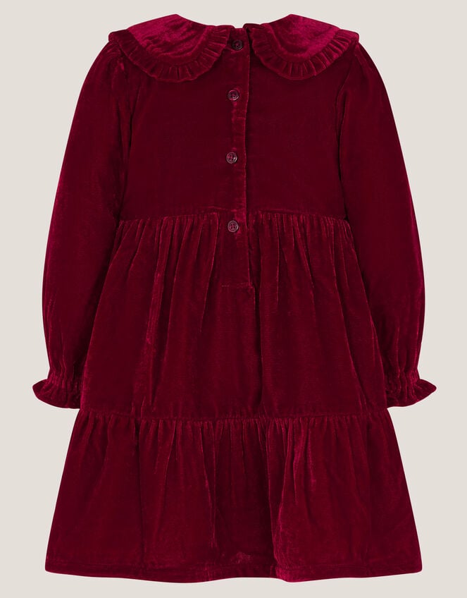 Baby Floral Embroidered Velvet Dress, Red (BURGUNDY), large