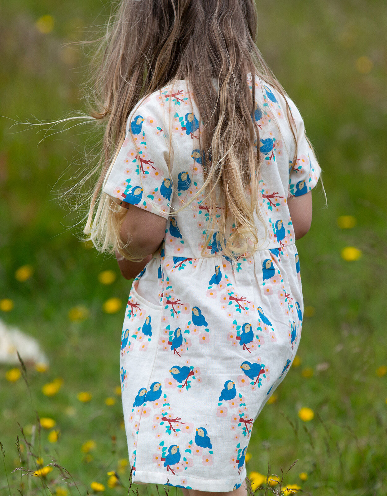 Monsoon daisy discount chain dress