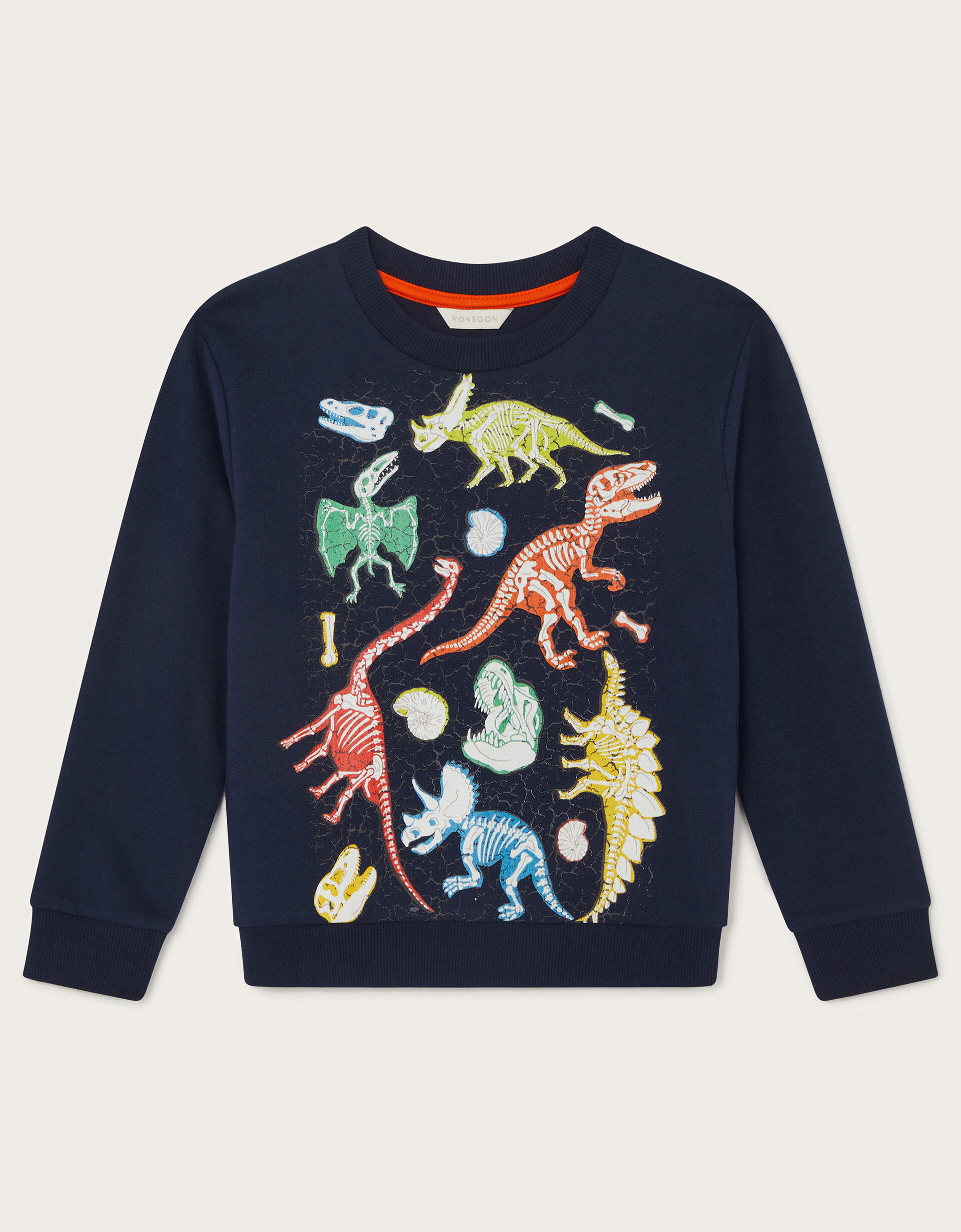 Dinosaur sweatshirt discount