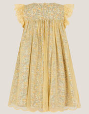 Darcie Ditsy Floral Mesh Dress, Yellow (YELLOW), large