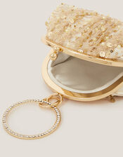 Embellished Tulle Bangle Mini Bag, Ivory (IVORY), large