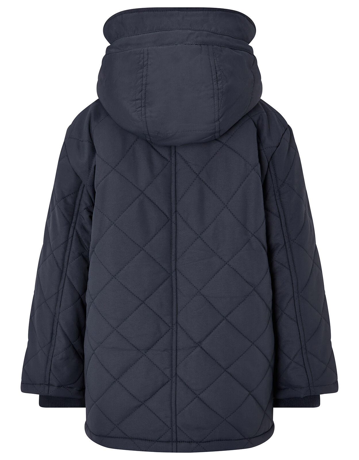 blue jacket with hood