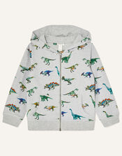 Dinosaur Print Hoody, Grey (GREY), large