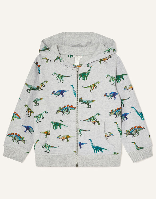 Dinosaur Print Hoody, Grey (GREY), large