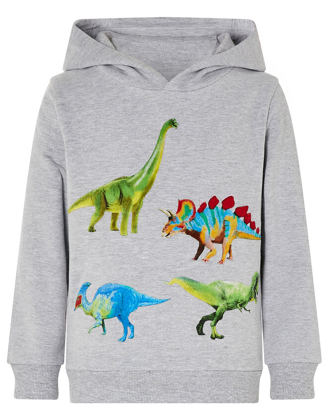 Dinosaur Print Hoody, Grey (GREY), large