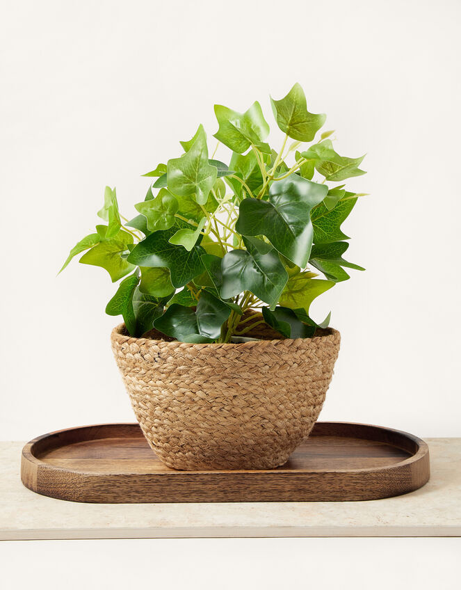 Jute Planter, , large