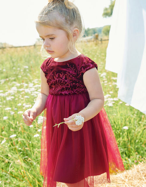 Baby Floral Velvet Dress, Red (BURGUNDY), large