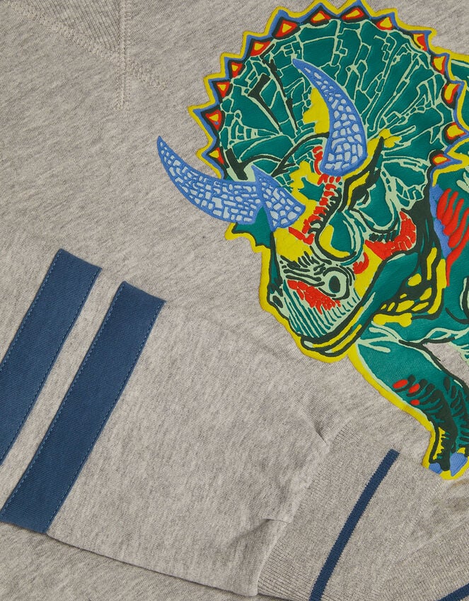 Triceratops Graphic Sweatshirt, Grey (GREY), large