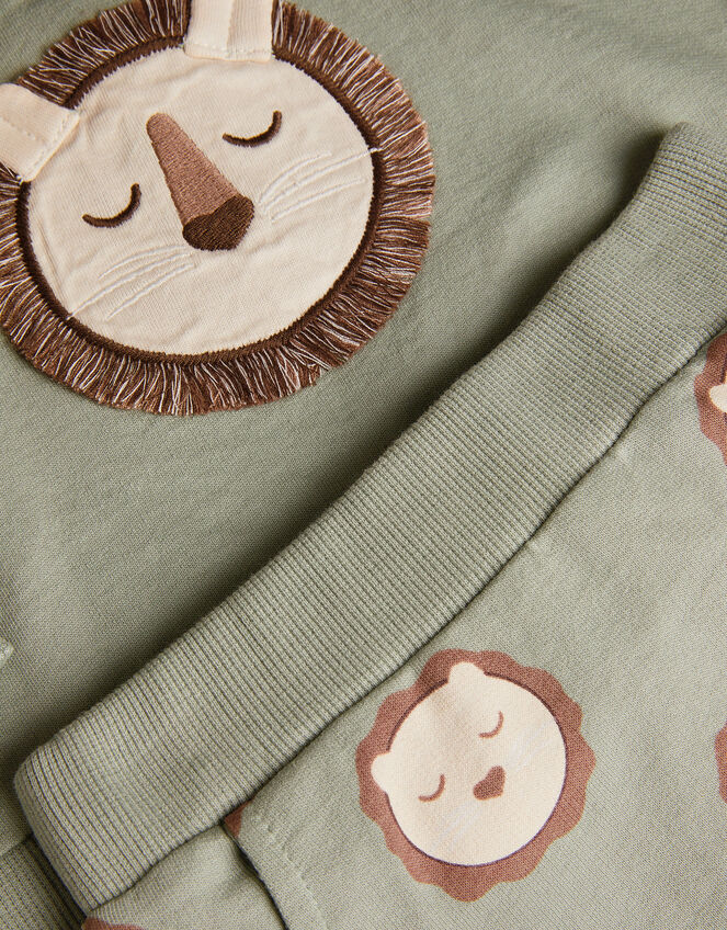 Newborn Lion Jumper and Leggings Set, Green (GREEN), large