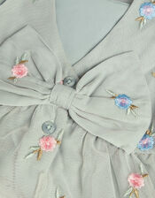 Baby Luna Floral Embroidered Mesh Dress, Green (SAGE), large