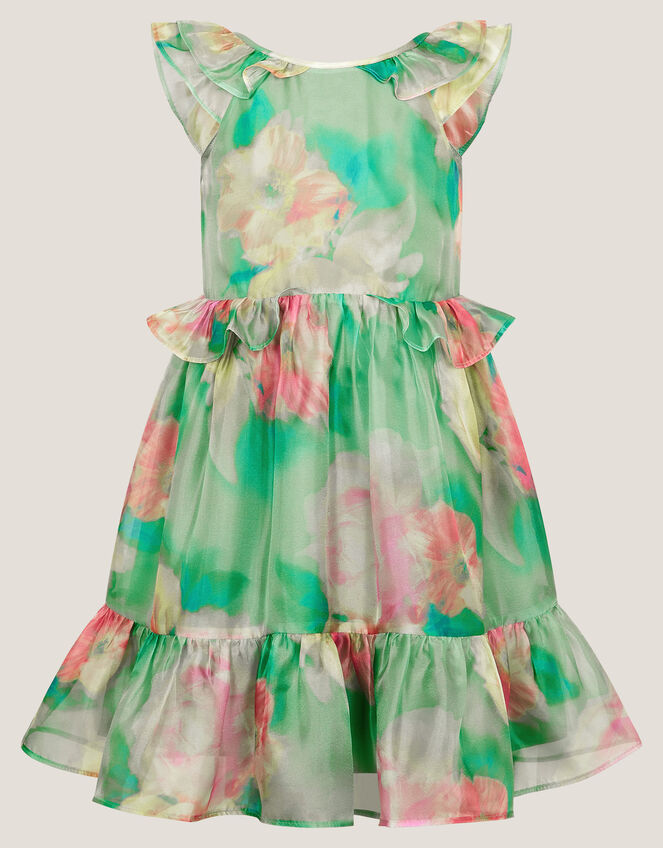 Blurry Floral Organza Ruffle Dress, Green (GREEN), large