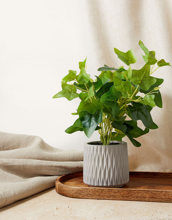 Mini Leaves In Cement Pot, , large