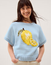Lizzie Lemon Short Sleeve Jumper, Blue (BLUE), large
