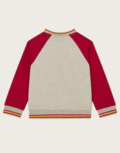 Land Of Wonder Raglan Sweatshirt, Grey (GREY), large