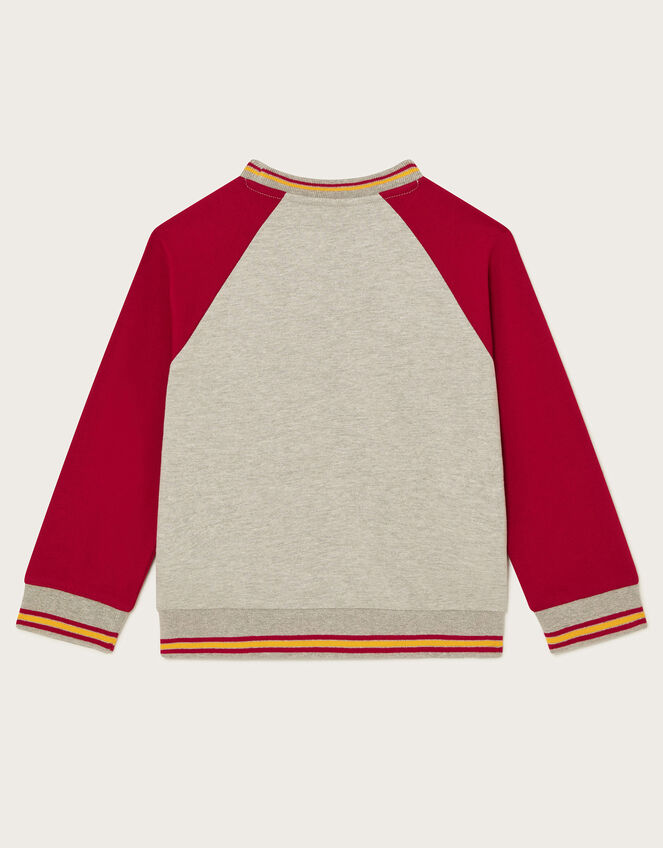 Land Of Wonder Raglan Sweatshirt, Grey (GREY), large